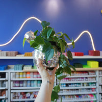 Mirrorball Flowerpot - DIY Set - Craftinglove