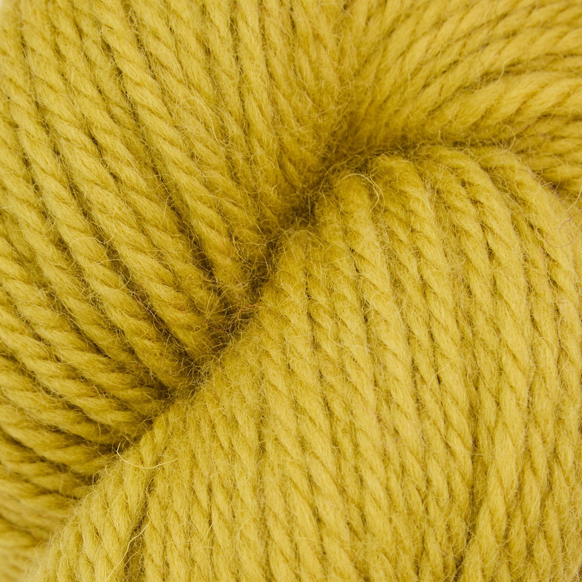 Violet Jane Fine Punch-Needle-Garn, 110g-Strang in Strike it Rich