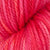 Cyclamen