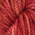 Rhubarb