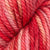 Red Snapper