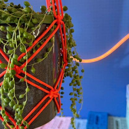 Banger Paracord-Pflanzenampel, Detailaufnahme